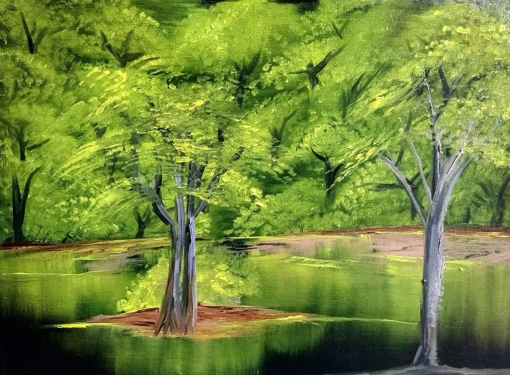 Night time in a luminous forest